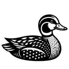 Illustration of a black and white duck with detailed feather patterns and a sleek body design in side view