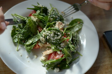 Salad with spinach, cherry tomatoes, cheese, and chicken
