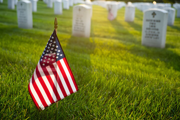 Respectful Remembrance: An American flag waves with reverence in a serene graveyard, as sunlight gently illuminates the rows of headstones, symbolizing the honor of those who served.