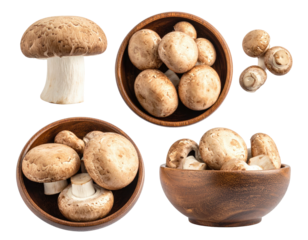 Four close-up views of brown mushrooms in wooden bowls, arranged in a grid pattern