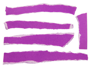 Set of pieces of torn or cut purple paper, design elements isolated on white background.