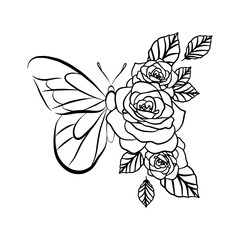 Beautiful Butterfly