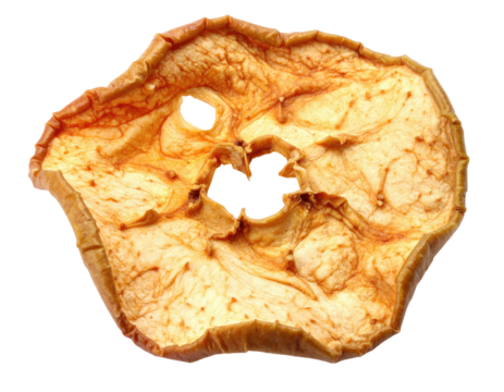 Dehydrated apple slice, circular, light orange-brown, uneven texture, and a large core hole