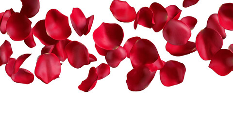 Falling red rose petals isolated on transparent PNG background, Perfect for wedding invitations, Valentine’s Day designs