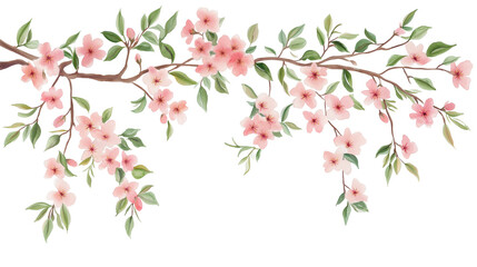 Watercolor cherry blossom branch with pink flowers isolated on transparent PNG background, spring floral illustrations