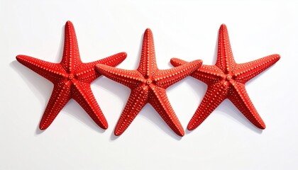 Three vibrant red starfish arranged in a row against a stark white background, casting subtle shadows