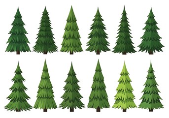 Obraz premium Illustration of diverse evergreen trees isolated on a white background