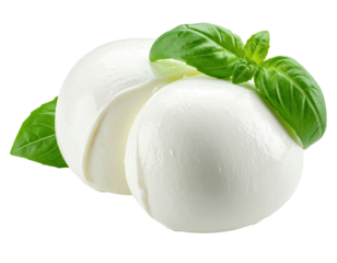Two fresh mozzarella balls, halved, with basil leaves