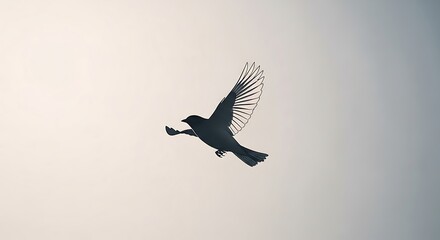 Obraz premium Minimalist avian silhouette soars gracefully against a clear neutral sky