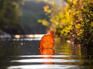 Autumnal leaf floats serenely on tranquil water surface reflecting vibrant colors.