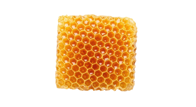 Isolated honeycomb filled with golden honey, natural sweetener full of nutrition and benefits