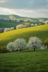 Obraz premium Lush Green Rolling Hills Adorned with Blooming Trees Under a Soft Sky