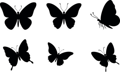 Butterfly Silhouette, Black color Butterfly Silhouette, Moth silhouette,