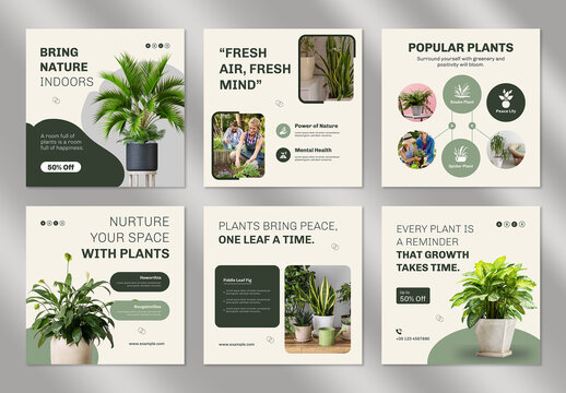Modern House Plants Social Media Post Template Set