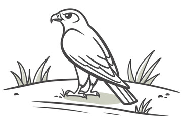 Bald Eagle Perched on Pine Branch Vector Illustration