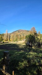 Breathtaking view of mountains in southern Chile, with lush slopes and peaks under clear skies. A serene and majestic natural landscape.