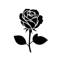 vector illustration of rose