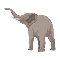 Flat vector elephant in poses African of Asian animal with large ears and long trunk. Wildlife theme