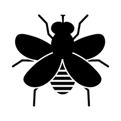 dragonfly vector illustration