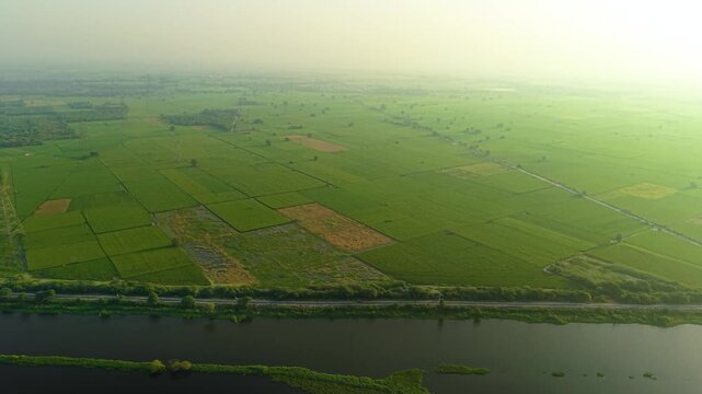 Revealing aerial drone shot showcasing vibrant green fields and a serene water body surrounded by farmland, taken during monsoon sunrise near Delhi, India.