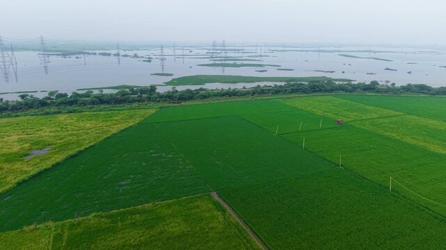 Aerial drone shot wide panning shot over green agricultural terrain and water body with power lines, captured at dawn in monsoon season on Delhi&rsquo;s suburban edge.