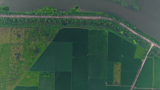 Aerial top down shot of lush green farmland with a calm water body beside it, featuring power cables and their reflections, captured during sunrise in the monsoon season on the outskirts of Delhi.