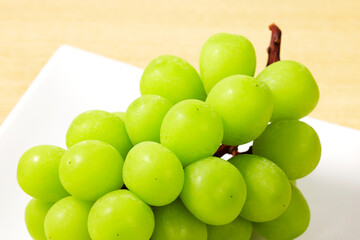 シャインマスカット　Shine Muscat (Green Seedless Grapes)