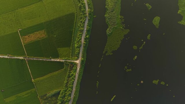 Aerial top down shot capturing rich monsoon farmland and nearby water body, reflections of power lines glistening in sunrise light, outskirts of Delhi, India.