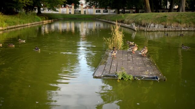 pond near Branicki Palace in Bialystok