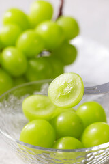 シャインマスカット　Shine Muscat (Green Seedless Grapes)