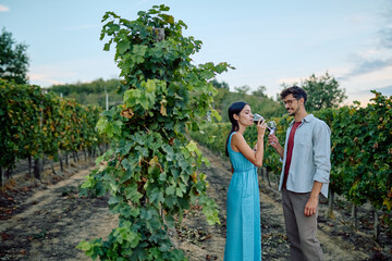 Happy couple enjoying a romantic outdoor wine tasting experience amongst grapevines, celebrating love and viticulture