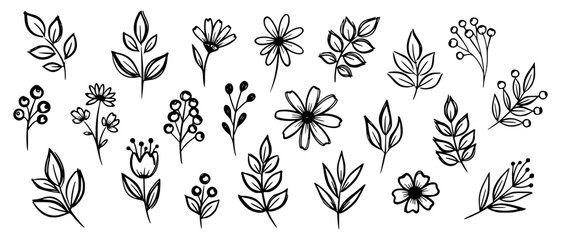 Vector art of collection of handdrawn botanical elements, including various leaves, flowers, and berries