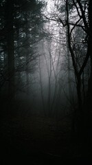 Obraz premium Misty, twilight forest whispers folklore tales, evoking Samhain rituals, shadowy pine druidic gathering, mystical nature's enigma