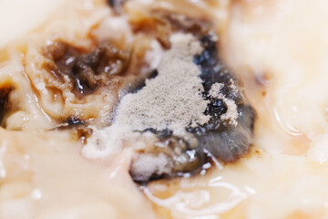 Mold growing on a spoiled food item in close-up view