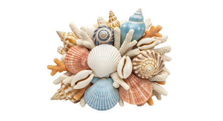 Obraz premium Collection of seashells and coral isolated on transparent background, creating a beautiful and intricate arrangement for coastal decor or crafts projects