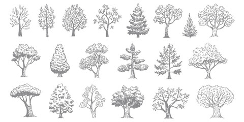 Minimal CAD Tree Line Drawing Set – Side View Tropical Trees Outline for Architecture and Landscape Design – Vector Stroke Illustration on White Background