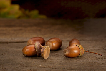 Close-up of acorns on an old rustic wooden background, selective focus and copy space.