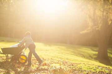 Female child pushing green wheelbarrow carrying white cloth across park field under warm sunlight