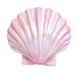 PNG Pink iridescent seashell illustration.