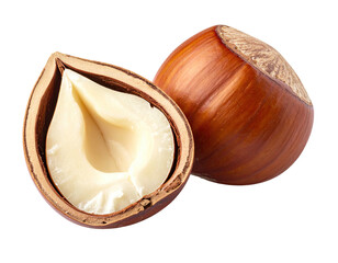 Two halved hazelnuts, one whole and one split, showcasing the light cream-colored interior
