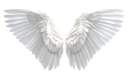 Obraz premium Realistic angel wings. White wing isolated. png transparency