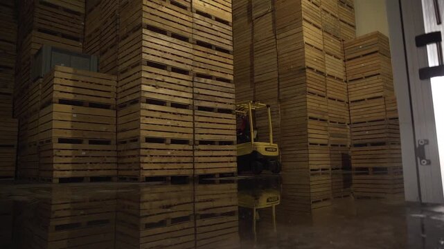 Forklift moves large wooden crates filled with fresh apples at an agricultural cold storage facility. Massive stacks of crates indicate fruit harvest logistics and post-harvest handling operations.