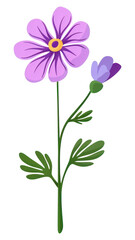 Naklejka premium PNG Wildflower illustration floral art.