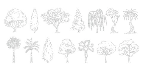 Minimal CAD Tree Line Drawing Set – Side View Tropical and Oak Trees – Vector Outline Symbols for Architecture and Landscape Design – Stroke Illustration on White Background