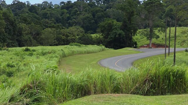 Scenic road in Khao Yai National Park, Thailand.
