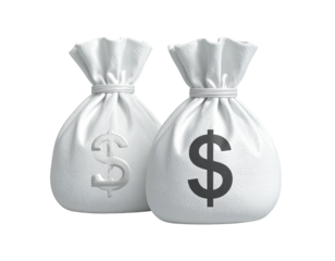 Two white money bags, one with a silver dollar sign, the other a black dollar sign, are displayed side-by-side