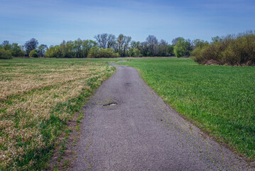 Bicycle path in Slovakia over River Morava, close to border with Austria