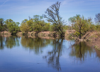 Devinske Lake - river arm of Morava River in Slovakia