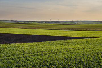 Green fields in Rabensburg village in Austria