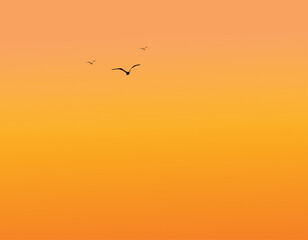 birds on sunset